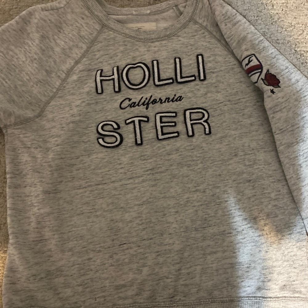 Holster sweatshirt
